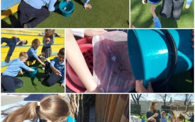 Educația STEM prin proiectele eTwinning